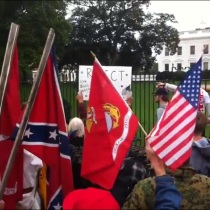 confederate flag waved at tea party rally